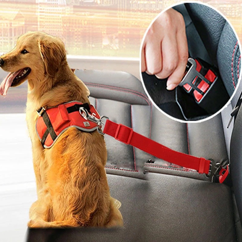 KFX-2855613 Pet Car Seat Belt with Retractable Hand Holding Rope - Available in Multiple Colors