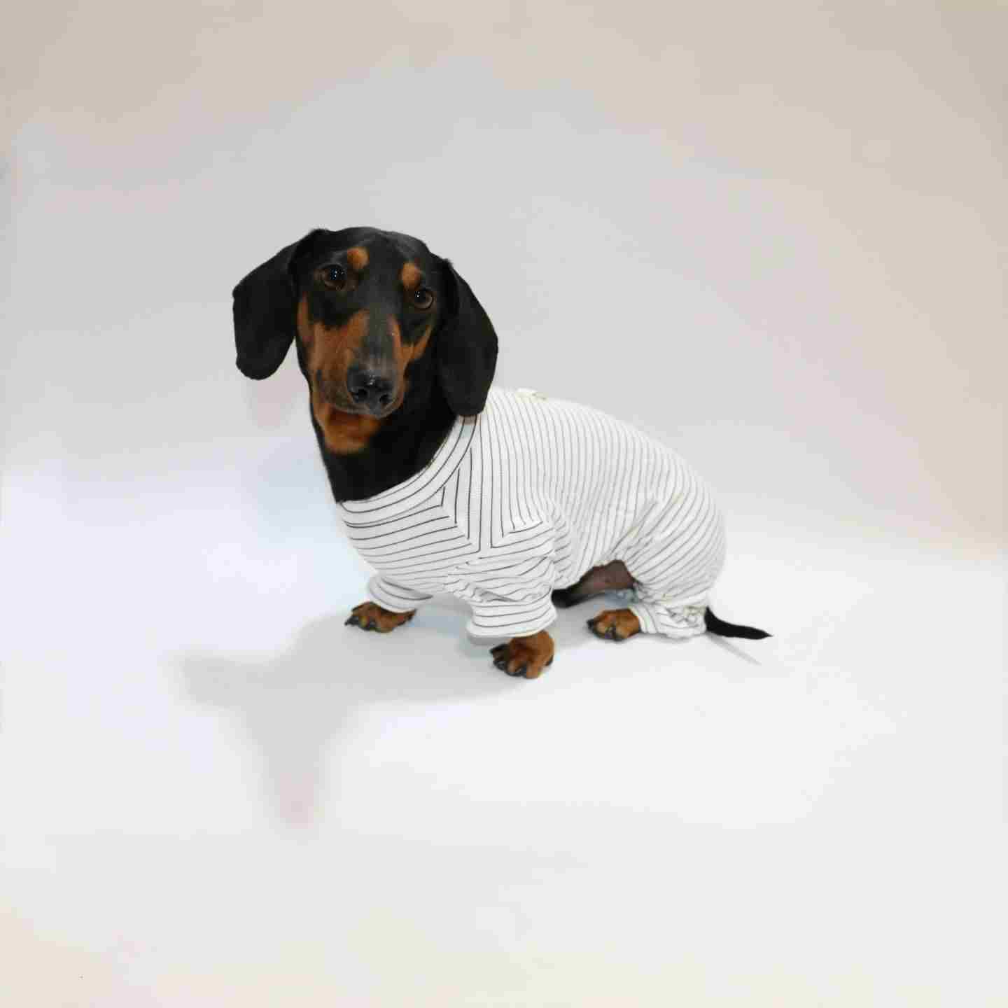 KFX-2871869 Thin Striped Pet Clothing for Dogs and Cats - Available in Multiple Sizes