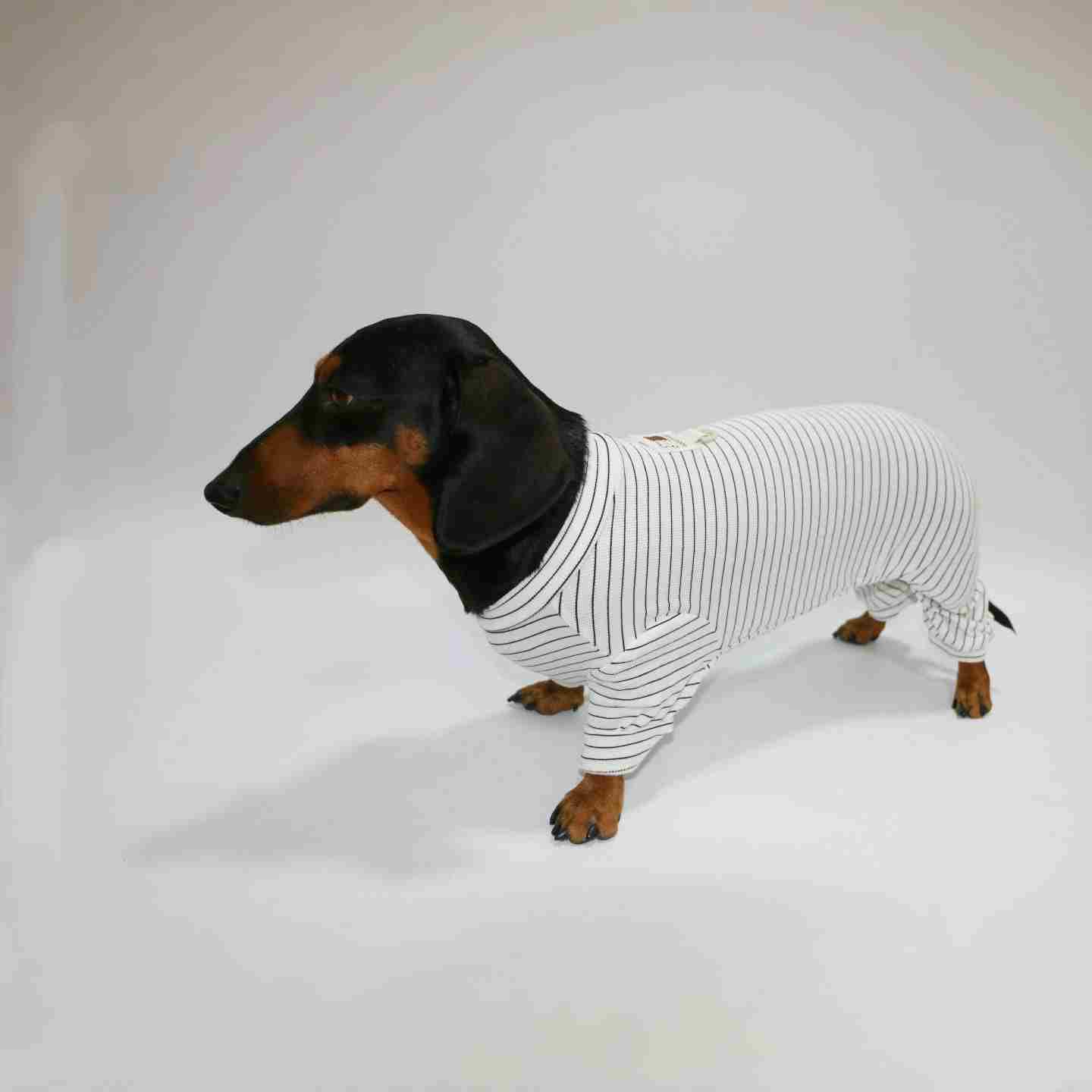 KFX-2871869 Thin Striped Pet Clothing for Dogs and Cats - Available in Multiple Sizes