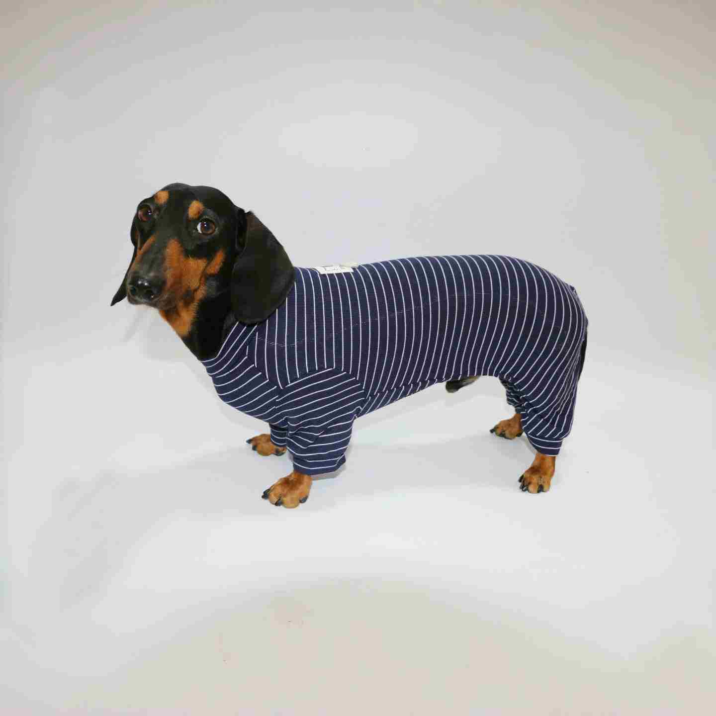 KFX-2871869 Thin Striped Pet Clothing for Dogs and Cats - Available in Multiple Sizes