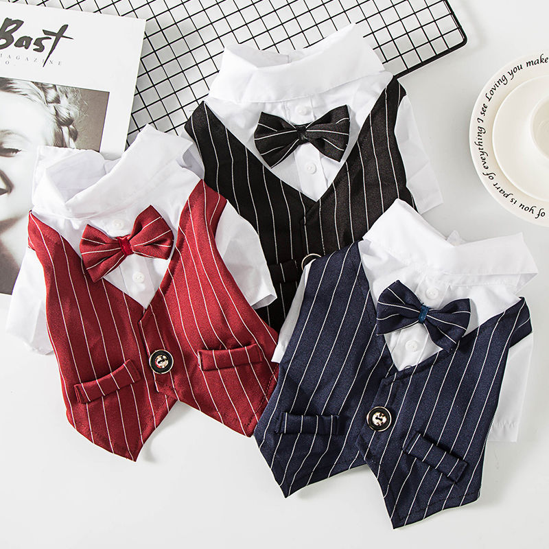 KFX-2883005 Stylish Evening Pants Suit for Small Dogs - Soft Vinylon Fabric, Perfect for Spring and Autumn