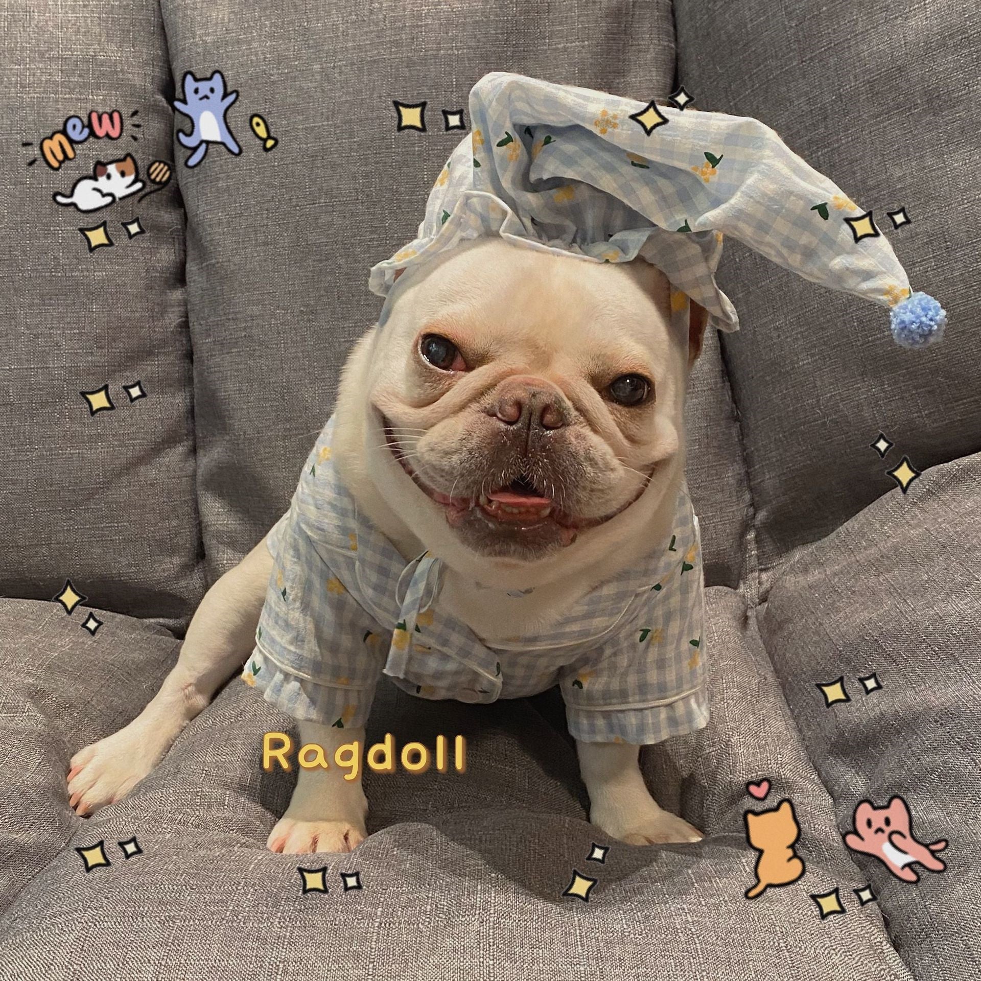KFX-2885437 Cotton Pajamas for Dogs and Cats with Matching Hat - Casual Style in Red and Blue, Sizes S to XXL