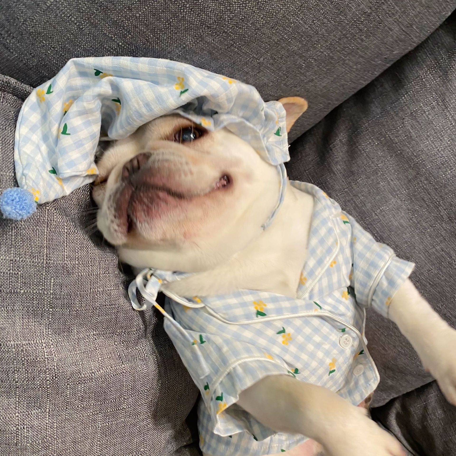 KFX-2885437 Cotton Pajamas for Dogs and Cats with Matching Hat - Casual Style in Red and Blue, Sizes S to XXL