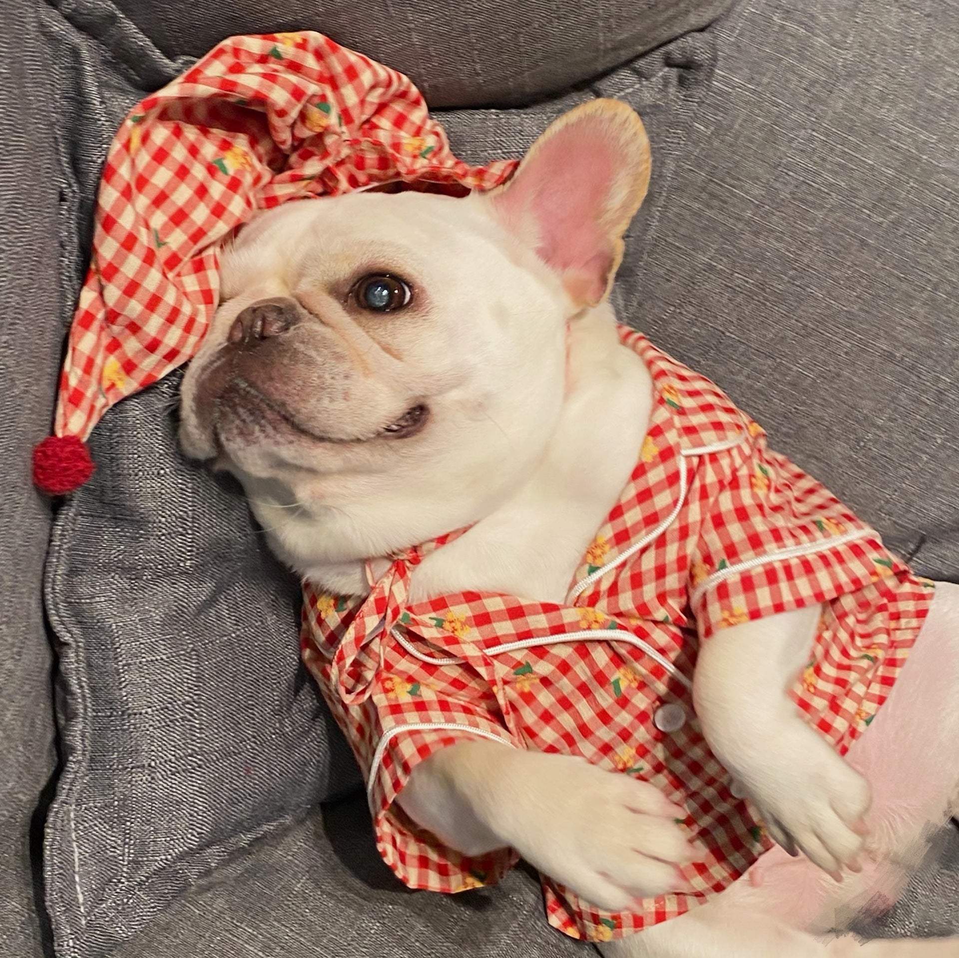 KFX-2885437 Cotton Pajamas for Dogs and Cats with Matching Hat - Casual Style in Red and Blue, Sizes S to XXL