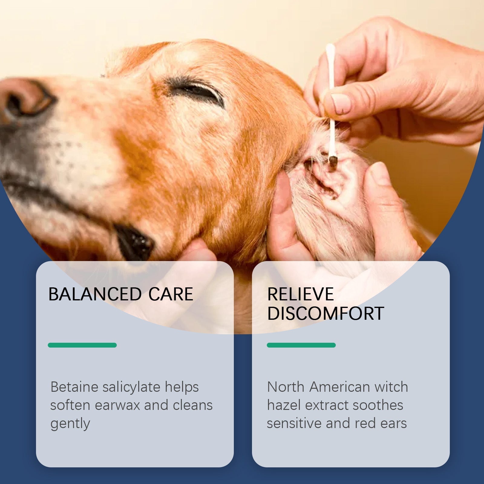 KFX-2886461 Gentle Ear Cleaner for Dogs and Cats - 100ml Earwax Removal Solution