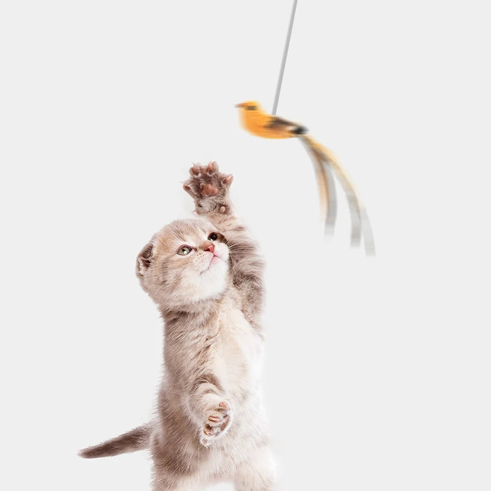 KFX-2891837 Interactive Automatic Lifting Cat Teaser Toy with Feather and Puzzle Design