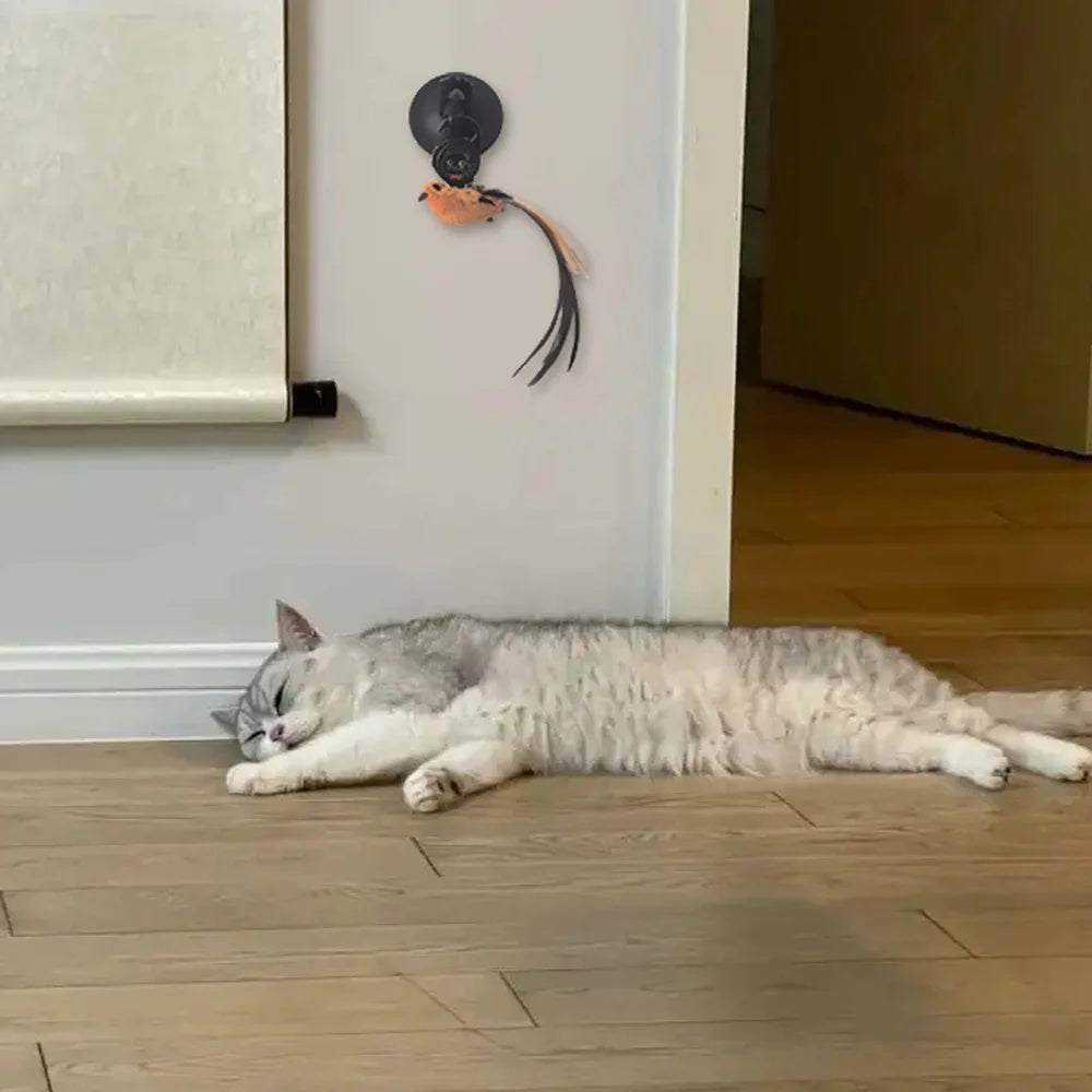 KFX-2891837 Interactive Automatic Lifting Cat Teaser Toy with Feather and Puzzle Design