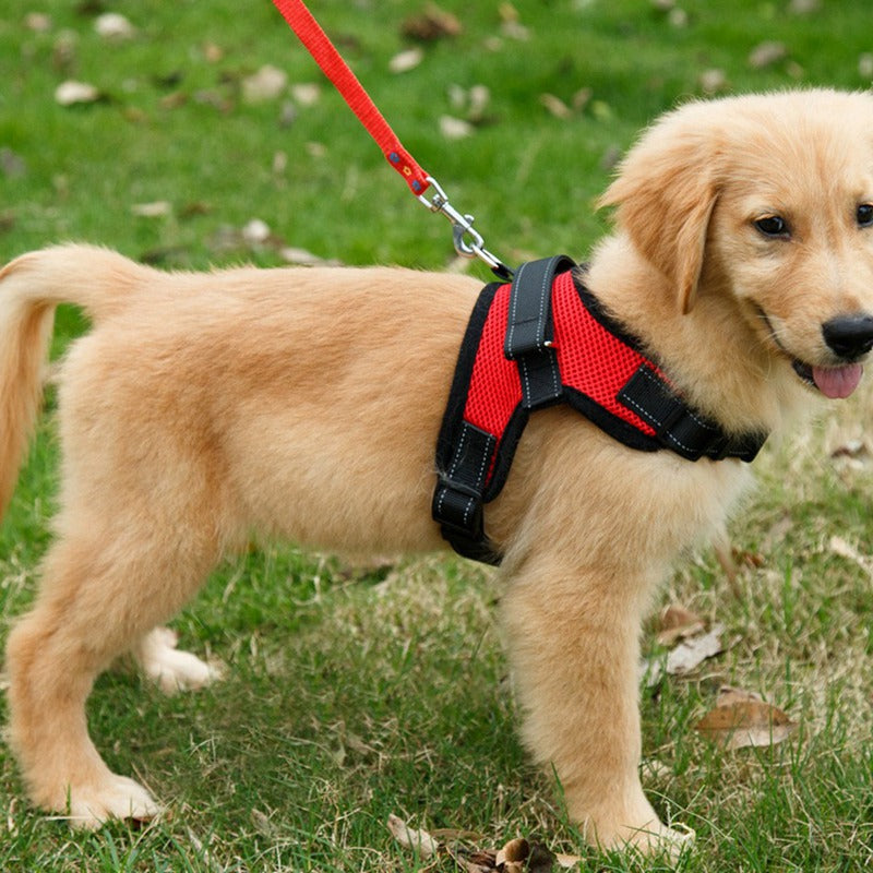 KFX-2905149 Mesh Dog Saddle Harness - Breathable Cloth Chest Strap for Small to Large Dogs in Multiple Colors