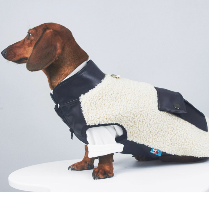 KFX-2910397 Warm Lambswool Pet Jacket for Small Dogs and Cats with Pocket - Casual Autumn/Winter Wear