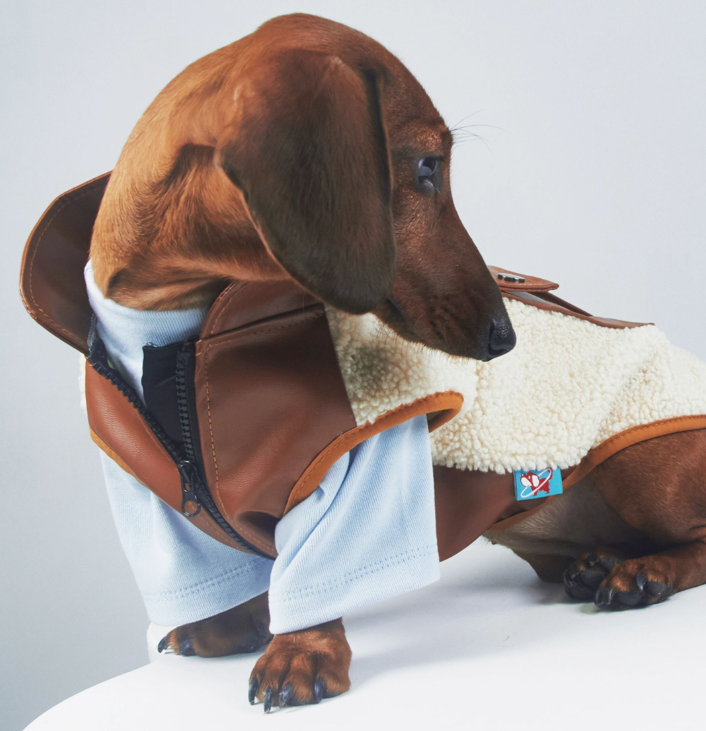 KFX-2910397 Warm Lambswool Pet Jacket for Small Dogs and Cats with Pocket - Casual Autumn/Winter Wear
