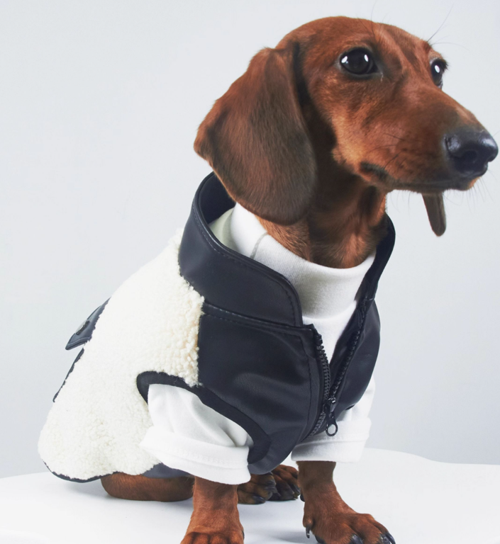 KFX-2910397 Warm Lambswool Pet Jacket for Small Dogs and Cats with Pocket - Casual Autumn/Winter Wear