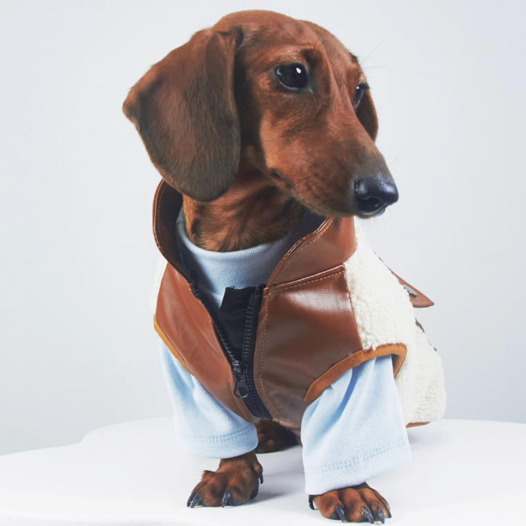 KFX-2910397 Warm Lambswool Pet Jacket for Small Dogs and Cats with Pocket - Casual Autumn/Winter Wear
