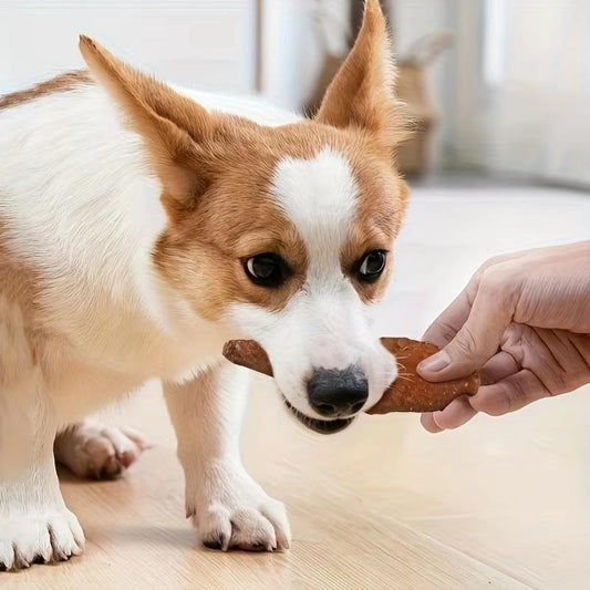 KFX-2911677 Chewy Chicken-Wrapped Rawhide Treats for Dogs of All Sizes - High Protein, Natural Meat Snack