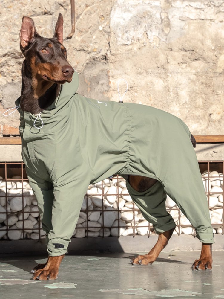 KFX-2913981 Casual Outdoor Mountaineering Suit for Medium and Large Shiba Inu - Four-Legged Pet Clothing in Army Green and Khaki