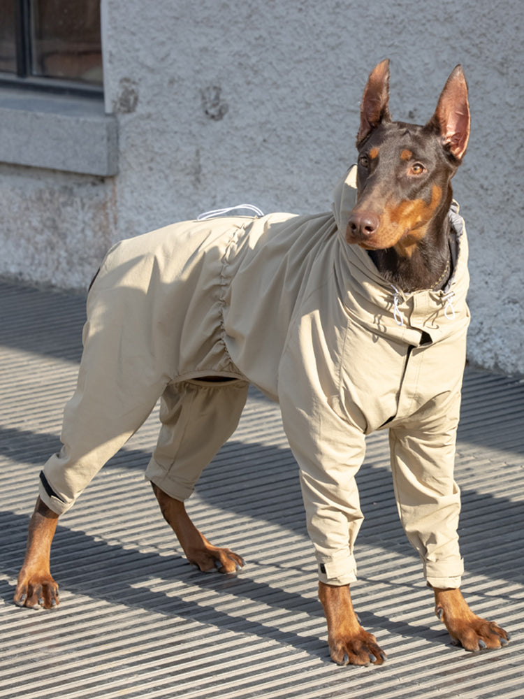 KFX-2913981 Casual Outdoor Mountaineering Suit for Medium and Large Shiba Inu - Four-Legged Pet Clothing in Army Green and Khaki