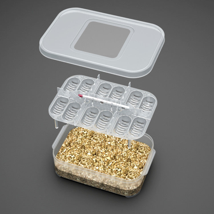 KFX-2921021 Reptile Incubator Box for Gecko and Lizard Eggs – 12 Egg Capacity, Polypropylene Design