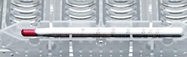 KFX-2921021 Reptile Incubator Box for Gecko and Lizard Eggs – 12 Egg Capacity, Polypropylene Design