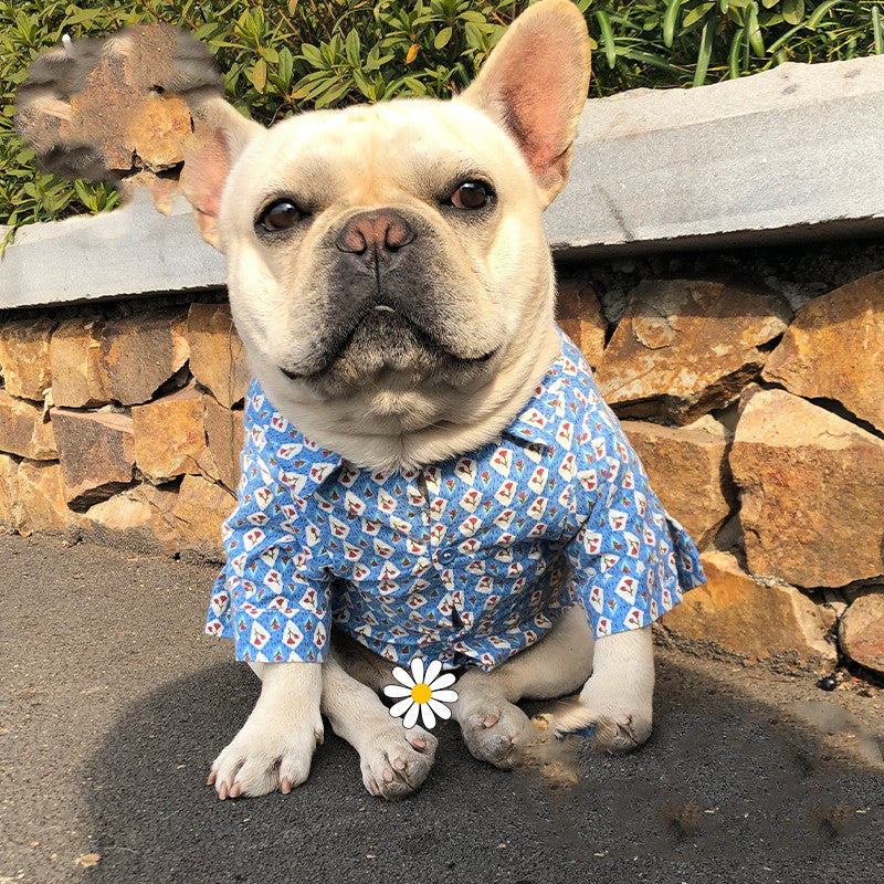 KFX-2921917 Floral Print Plush Shirt for Dogs and Cats – Soft Polyester Fabric, Available in Multiple Sizes