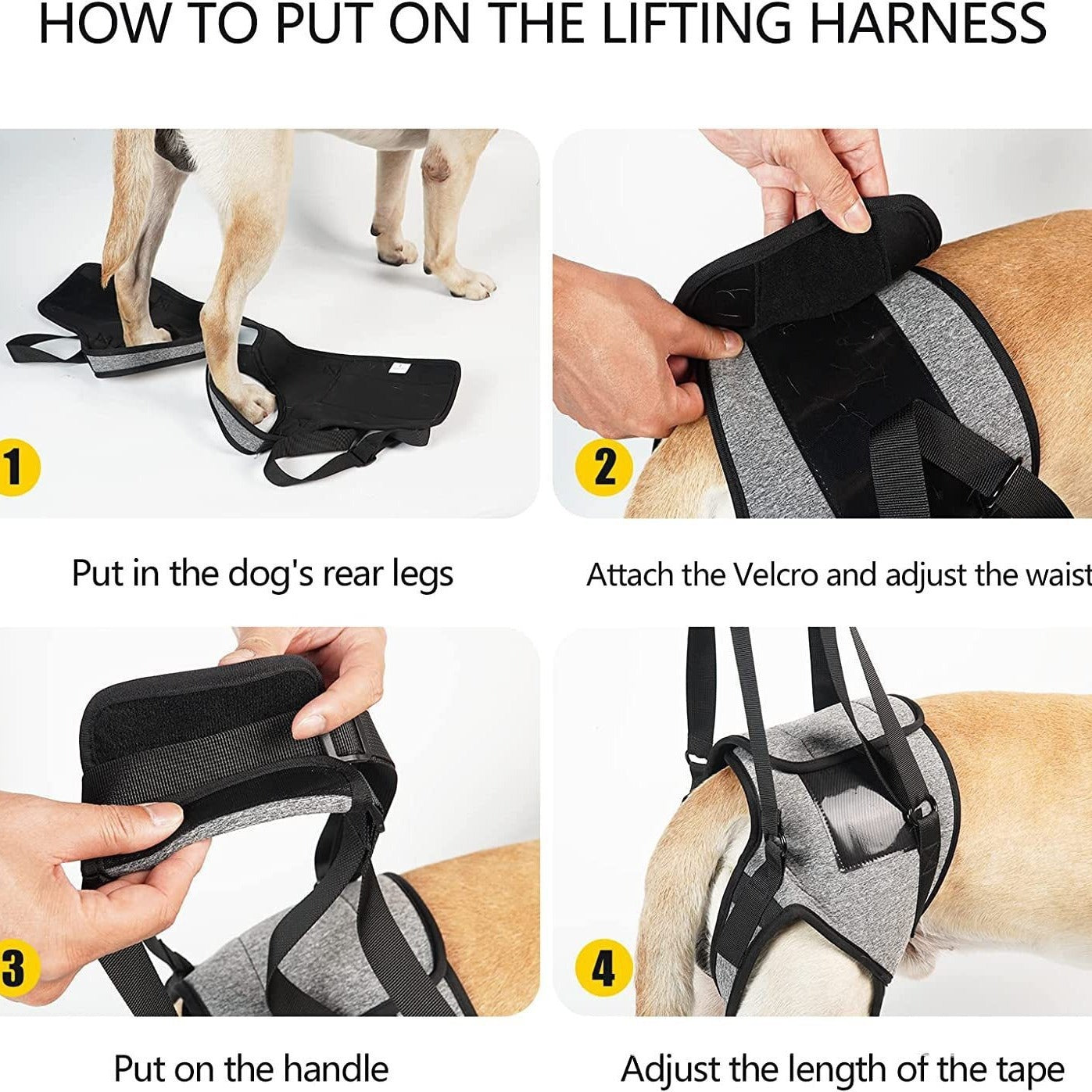 KFX-2926397 Neoprene Recovery Belt for Injured Dog's Rear Leg - Adjustable Waist and Thigh Sizes