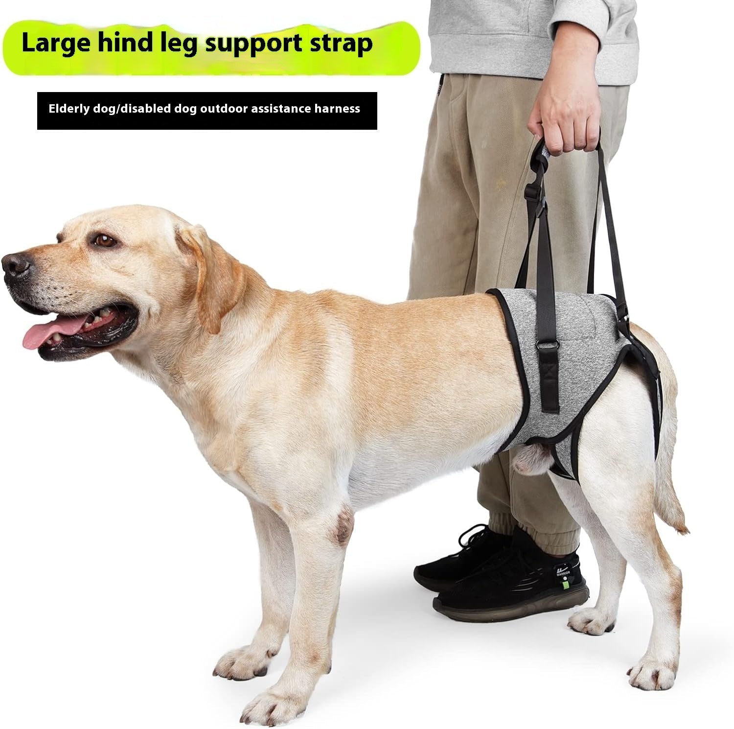 KFX-2926397 Neoprene Recovery Belt for Injured Dog's Rear Leg - Adjustable Waist and Thigh Sizes