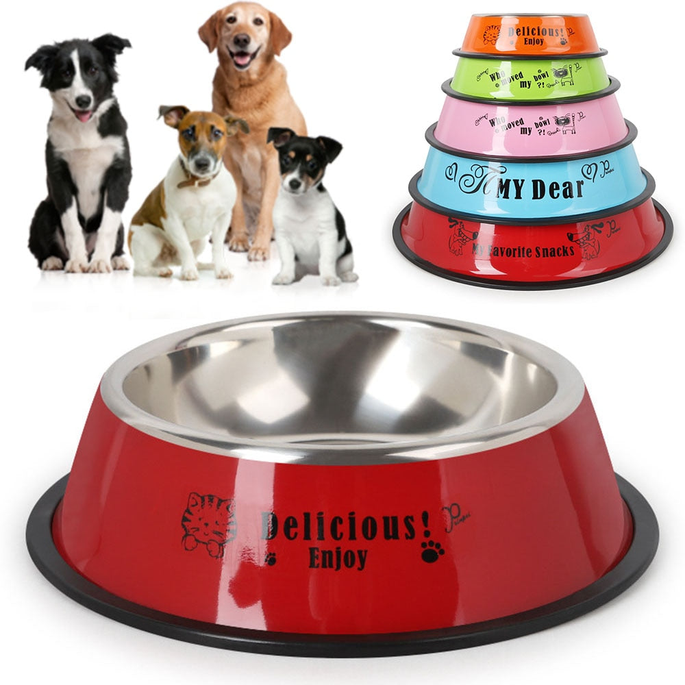 KFX-2938813 Automatic Stainless Steel Dog Bowl – Complete Feeding Set from Zhejiang