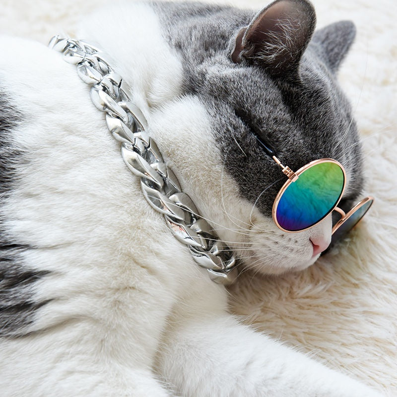 KFX-2940605 Cat Collar with Golden Chain Ornament and Glasses Accessory
