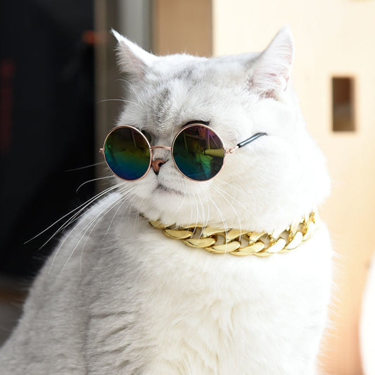 KFX-2940605 Cat Collar with Golden Chain Ornament and Glasses Accessory