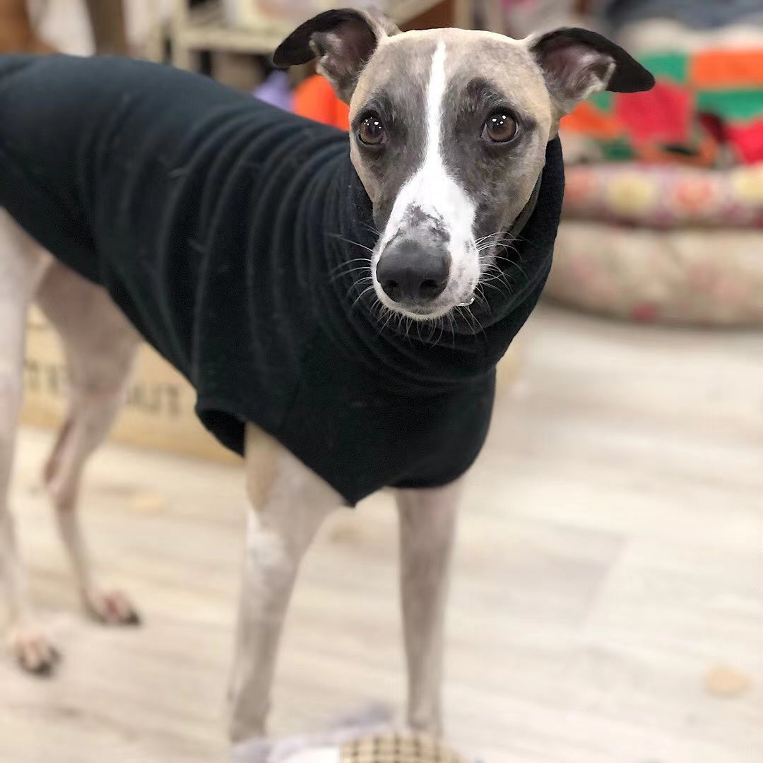 KFX-2940989 Winter Polar Fleece High Collar Vest for Italian Greyhound & Whippet Dog
