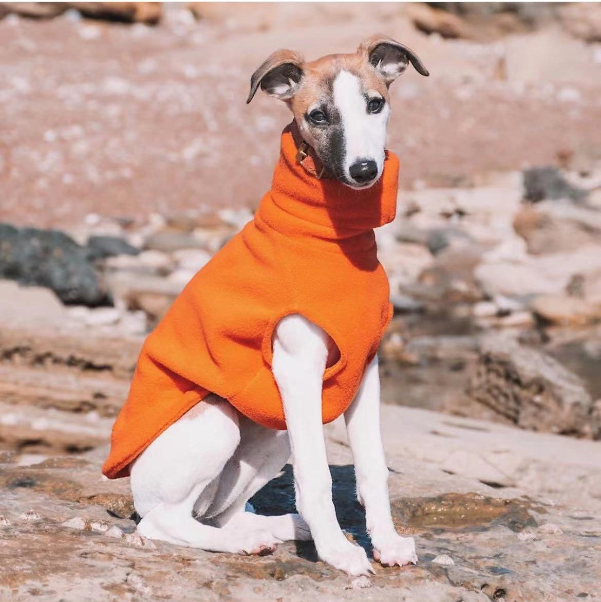 KFX-2940989 Winter Polar Fleece High Collar Vest for Italian Greyhound & Whippet Dog