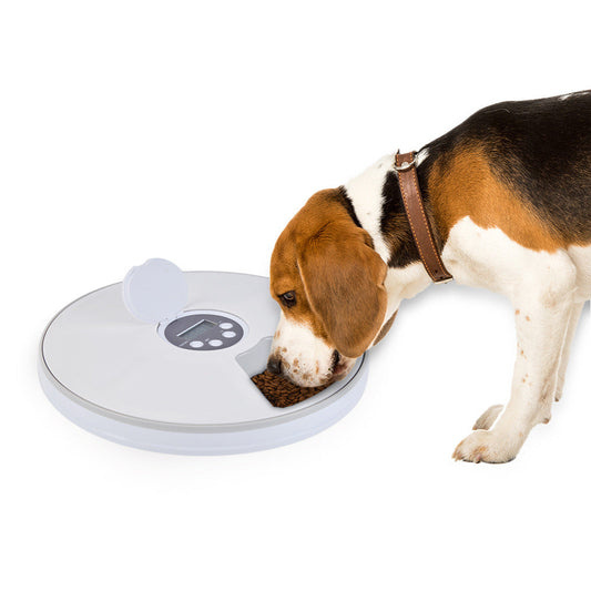 KFX-2942397 Automated Six-Meal Electric Cat and Dog Feeder with Timer and Music Reminder