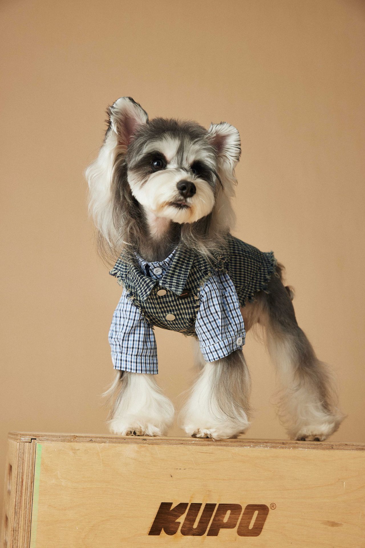 KFX-2943165 Washed Blue Plaid Sleeveless Denim Vest for Pets