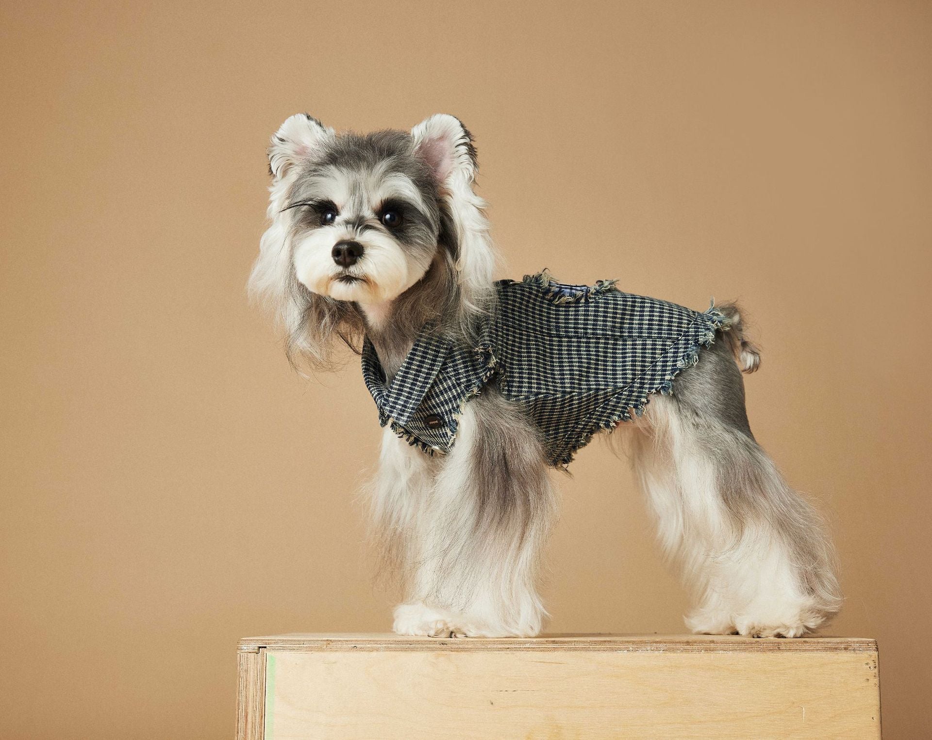 KFX-2943165 Washed Blue Plaid Sleeveless Denim Vest for Pets
