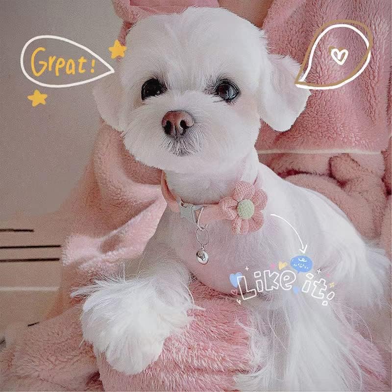 KFX-2951613 Floral Small Dog Collar with Bell - Adjustable and Comfortable for Girls
