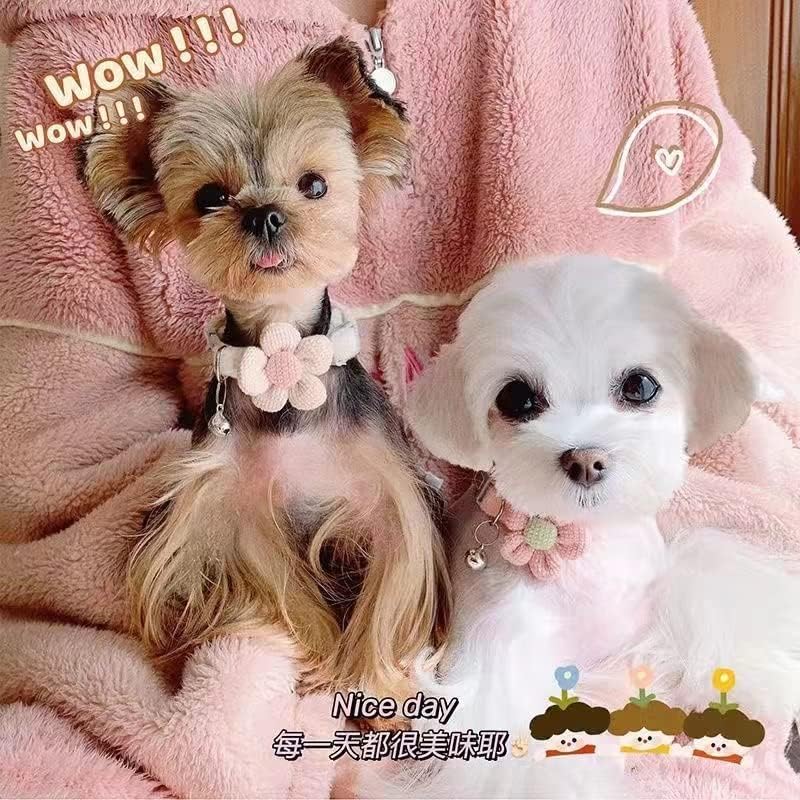 KFX-2951613 Floral Small Dog Collar with Bell - Adjustable and Comfortable for Girls