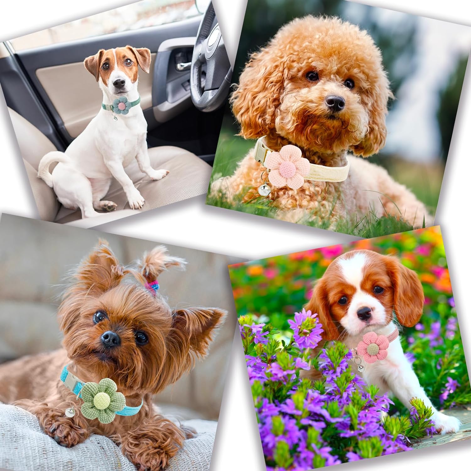 KFX-2951613 Floral Small Dog Collar with Bell - Adjustable and Comfortable for Girls