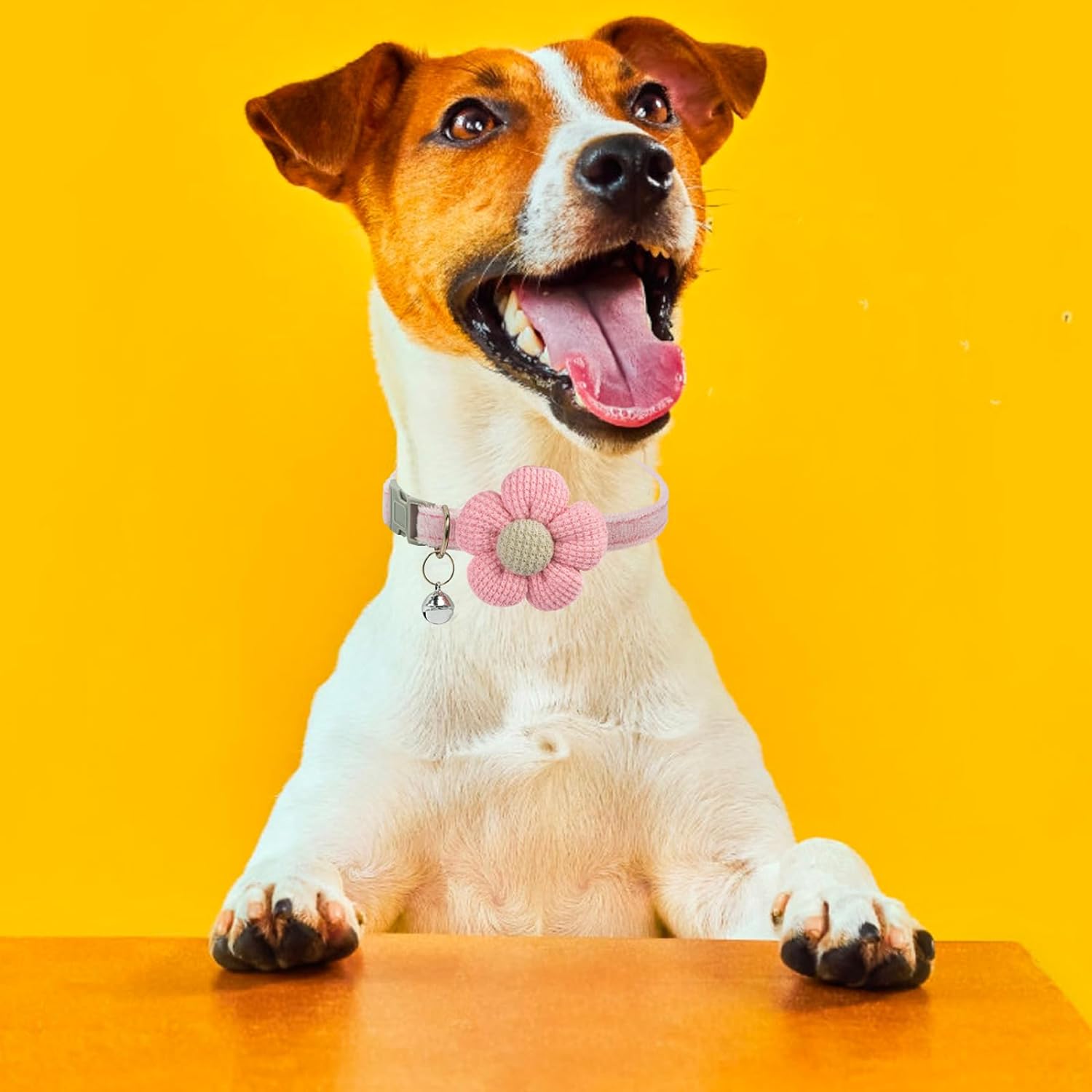 KFX-2951613 Floral Small Dog Collar with Bell - Adjustable and Comfortable for Girls