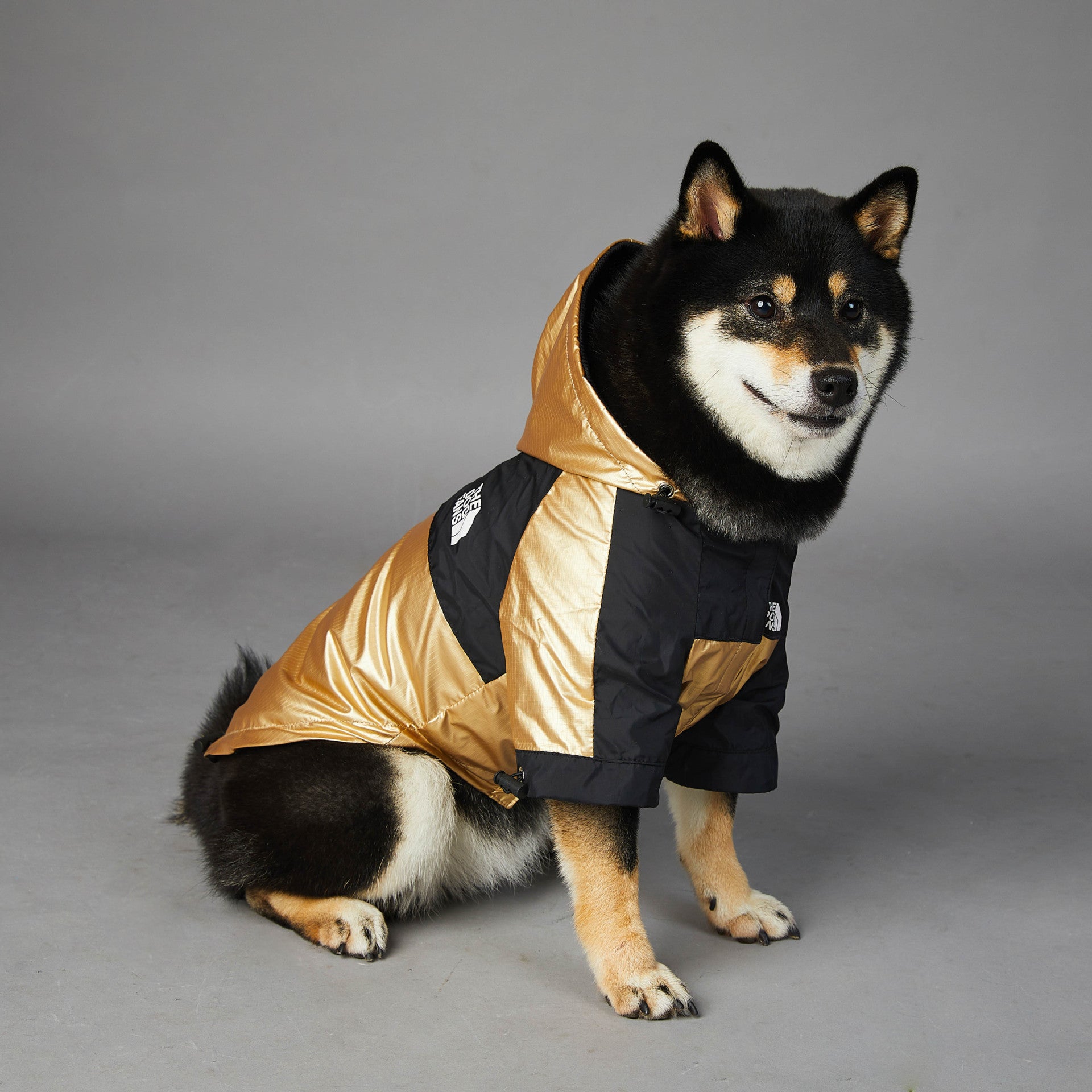 KFX-2951741 Large Dog Raincoat Shell Jacket - Windproof and Rainproof in Gold, Available in Multiple Sizes (S-5XL)