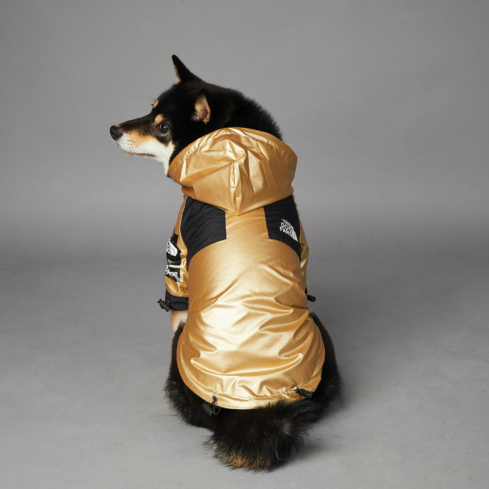 KFX-2951741 Large Dog Raincoat Shell Jacket - Windproof and Rainproof in Gold, Available in Multiple Sizes (S-5XL)