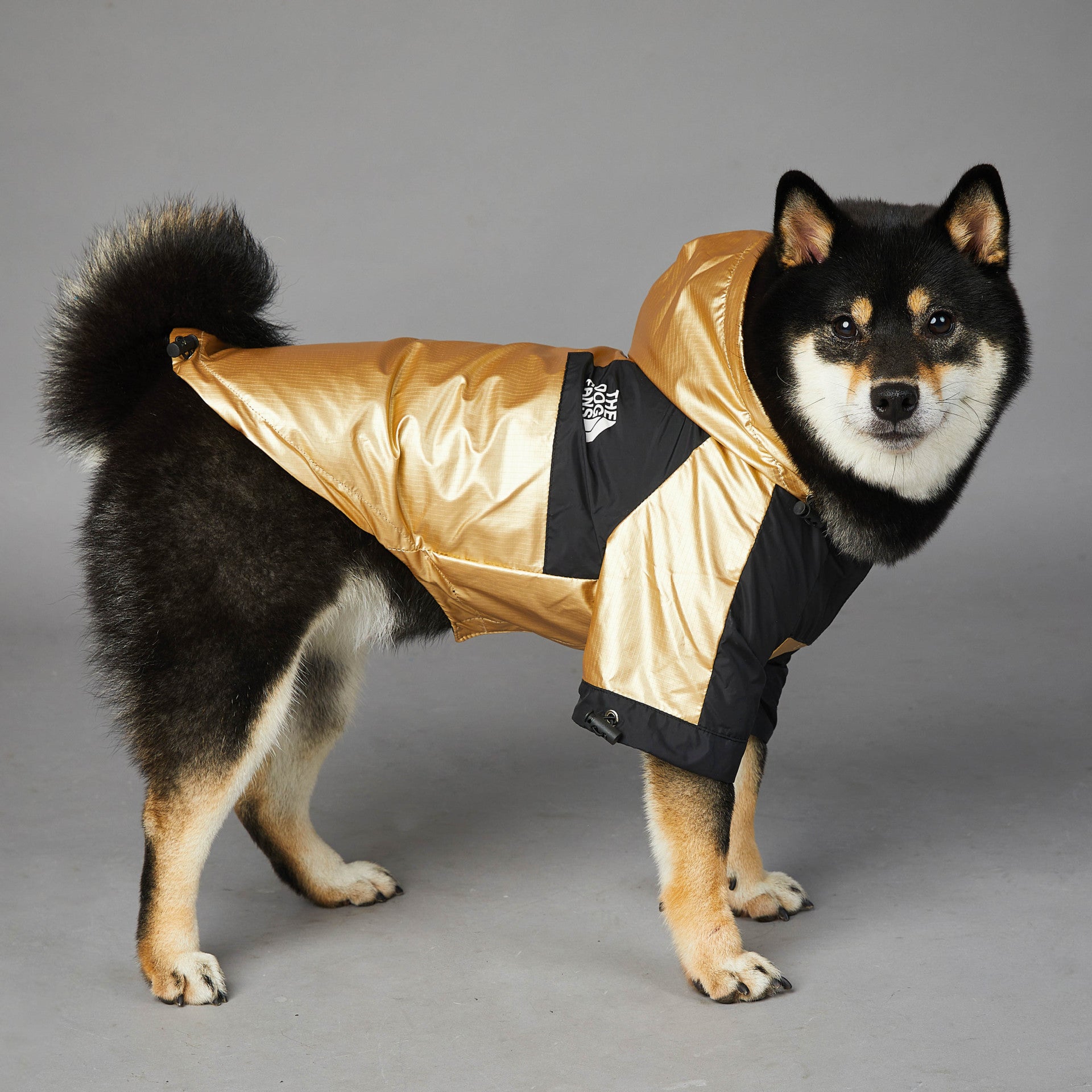 KFX-2951741 Large Dog Raincoat Shell Jacket - Windproof and Rainproof in Gold, Available in Multiple Sizes (S-5XL)