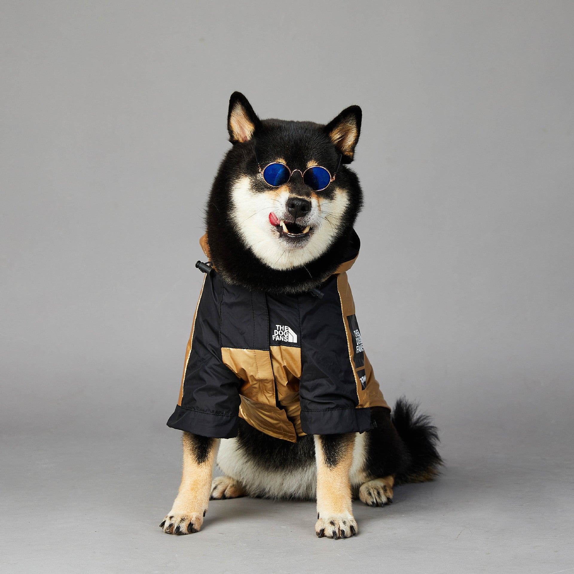 KFX-2951741 Large Dog Raincoat Shell Jacket - Windproof and Rainproof in Gold, Available in Multiple Sizes (S-5XL)
