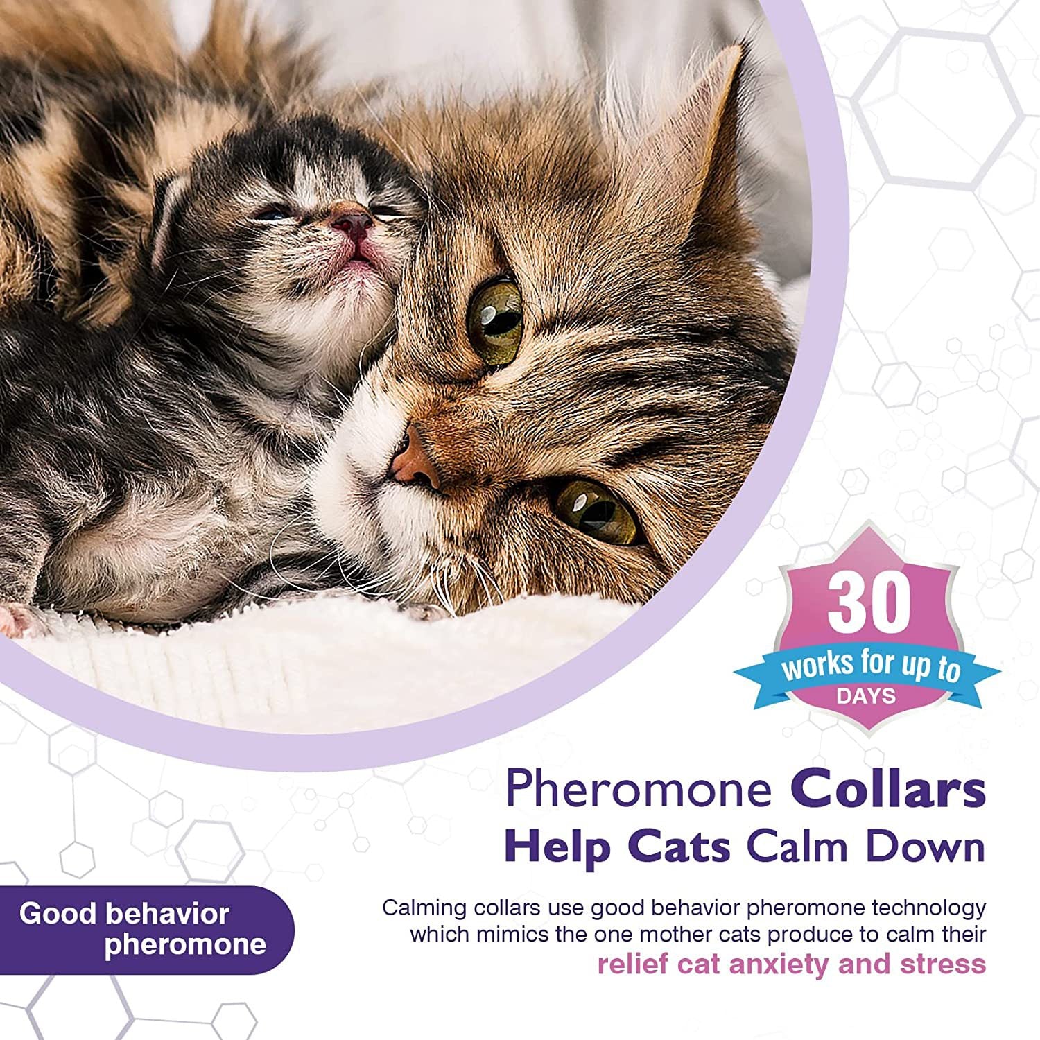 KFX-2952125 Calming Cat Collar for Anxiety Relief - Adjustable Hypoallergenic Comfort Collar