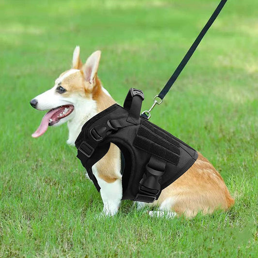 KFX-2953405 Durable Nylon Water-Repellent Tactical Chest Strap for German Shepherds - Explosion-Proof Design