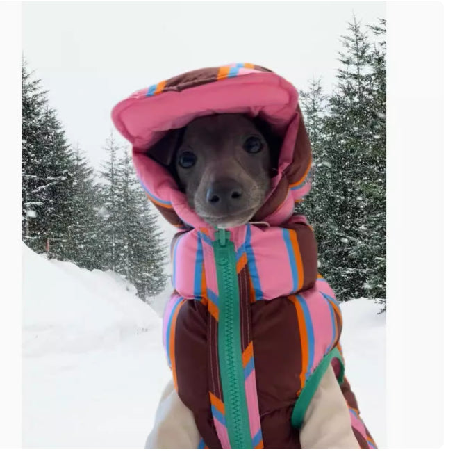 KFX-2969789 Pet Striped Vest with Hat for Autumn and Winter, Casual Polyester Clothing, Multiple Sizes Available