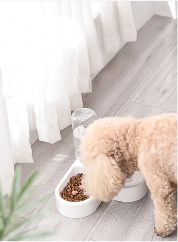 KFX-2971581 Dual-Use Cat and Dog Bowl with Non-Wet Mouth Design - Available in Pink, Blue, and White