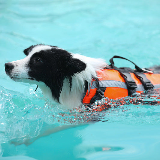KFX-2973757 Pet Life Jacket for Dogs - Cooling Swimming Suit with High Buoyancy in Orange, Sizes S to XL