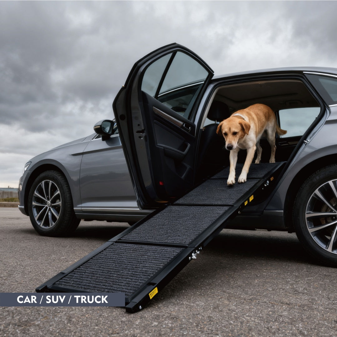 KFX-2974653 Portable Folding Dog Ramp for SUVs and Trucks - 71" Long, 19.5" Wide, Non-Slip Surface, Supports Up to 250 lbs