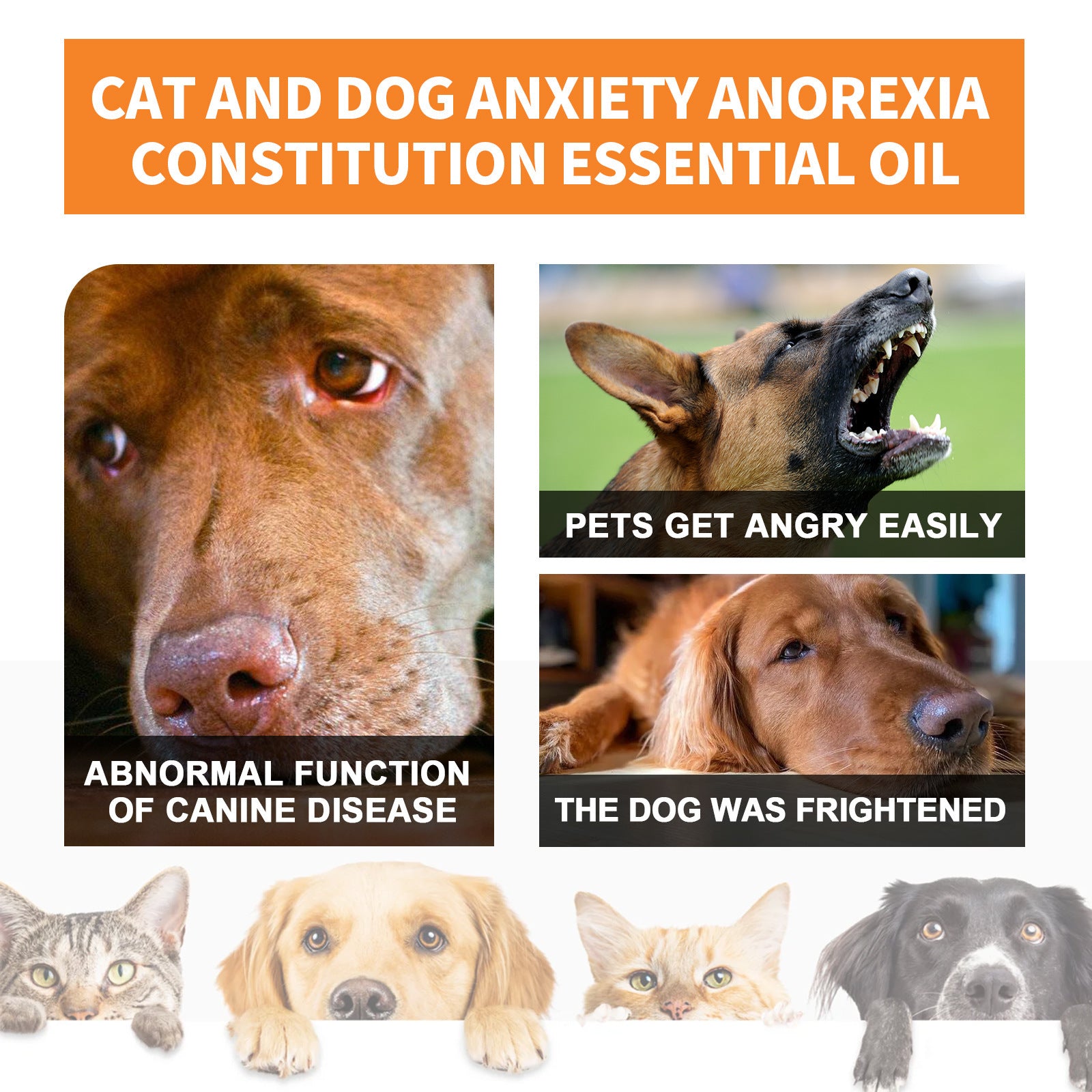 KFX-2975165 Cat and Dog Nutritional Supplement for Enhanced Fitness - 30ml Seed Oil