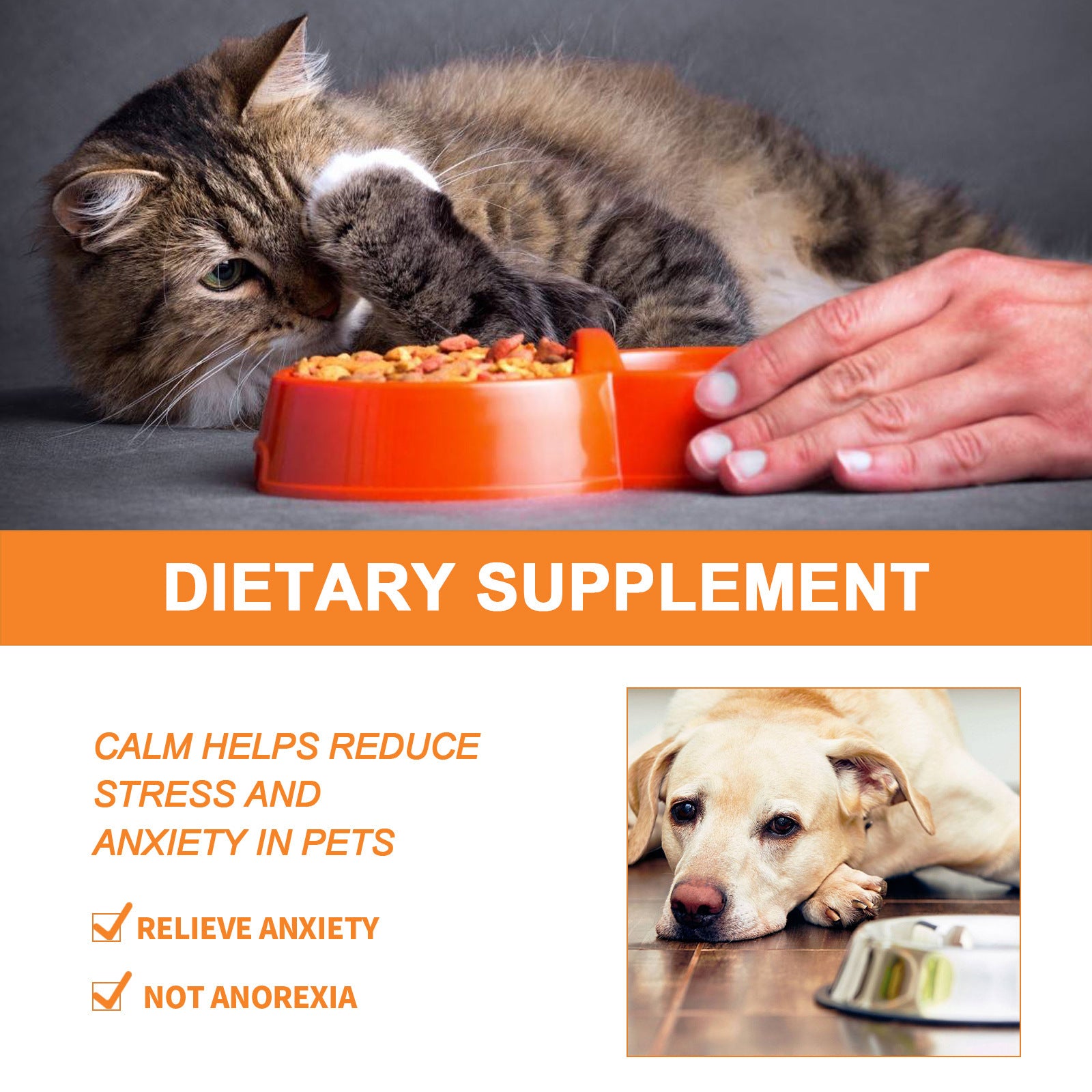 KFX-2975165 Cat and Dog Nutritional Supplement for Enhanced Fitness - 30ml Seed Oil