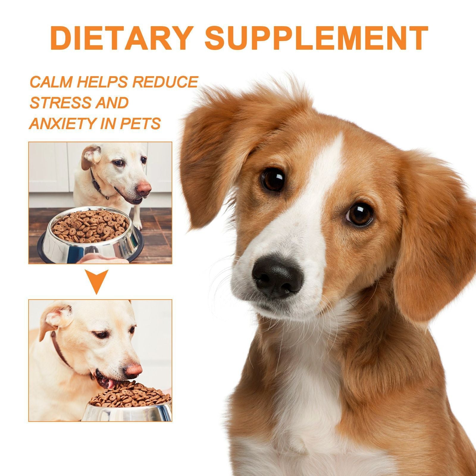 KFX-2975165 Cat and Dog Nutritional Supplement for Enhanced Fitness - 30ml Seed Oil