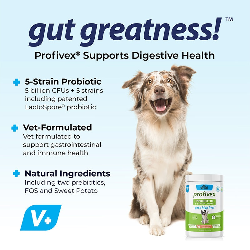 KFX-2977213 Probiotics Chews for Pets - Supports Digestive Health for Dogs, Promotes Healthy Gut Function